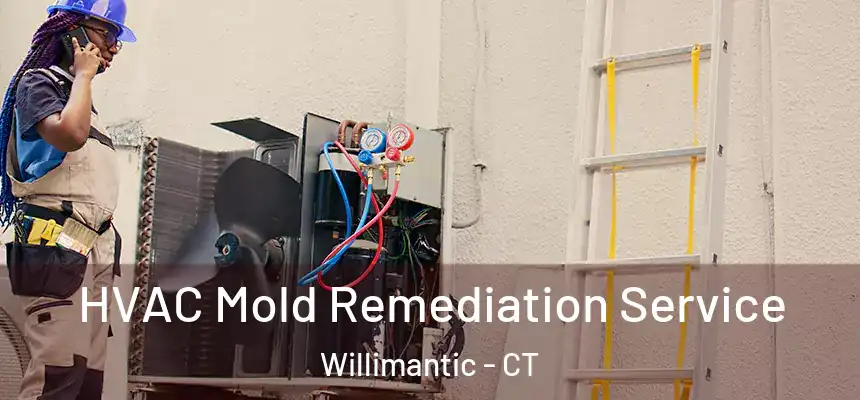  HVAC Mold Remediation Service Willimantic - CT