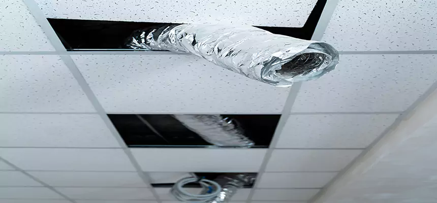 Affordable HVAC Sanitizing After Pest Removal in Willimantic