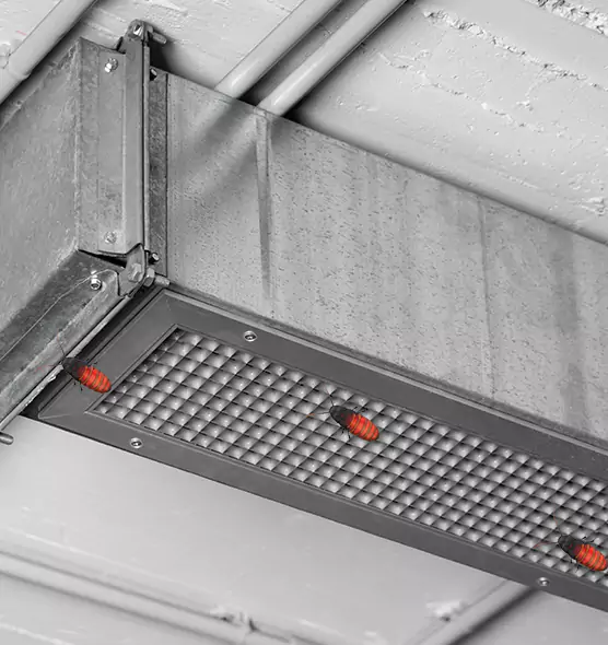About Air Duct Cockroach Removal in Willimantic, CT