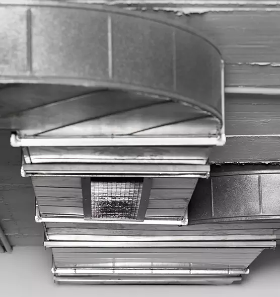 Professional Air Duct Pest Removal in Willimantic, CT