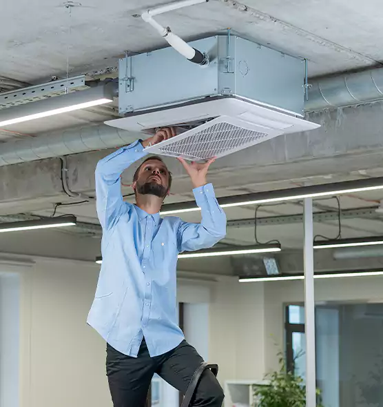 Advanced Rodent Droppings In Vents in Willimantic, CT